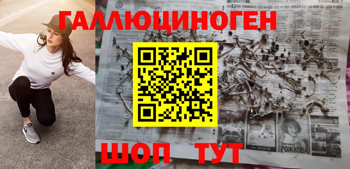 Гусиноозёрск  дарнет шоп  Вход с VPN  Галлюциногенные грибы мицелий 