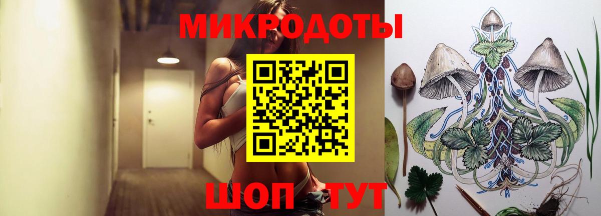Псилоцибиновые грибы Cubensis Гусиноозёрск